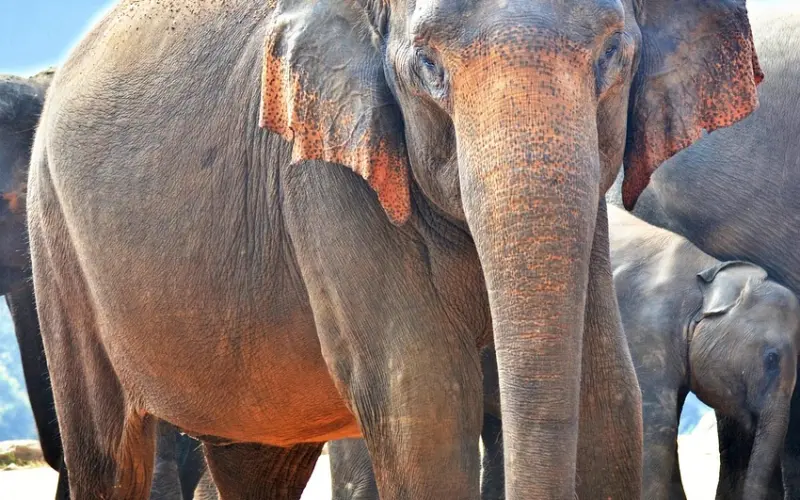 分手的说辞中，我最不想听到这一句……