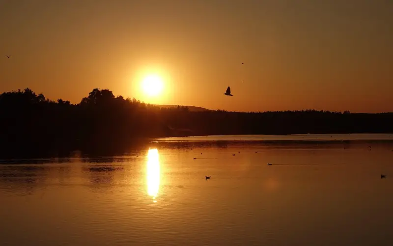 挽回丈夫时的有效邀约
