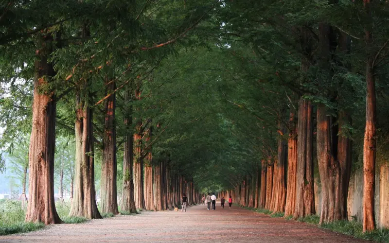 婚外情剖析：为什么来寻求挽回的都是被出轨方？