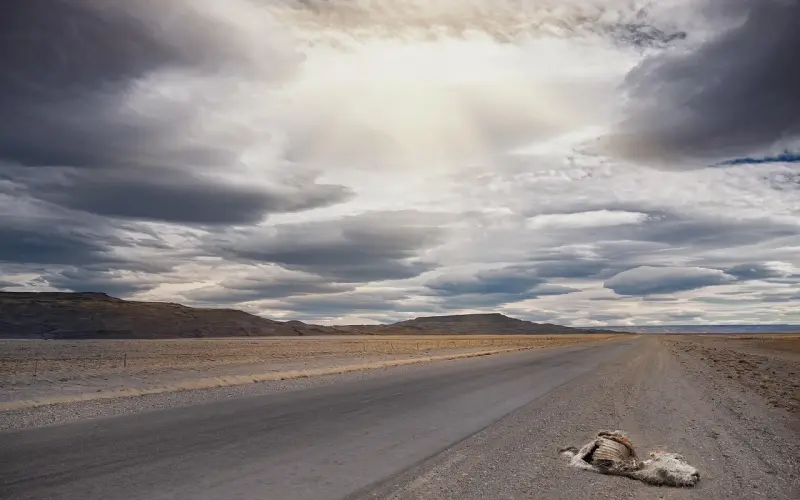 实战案例剖析：约出女生，你只需要知道这三点