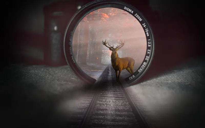 爱的另一个名字，叫“妥协”