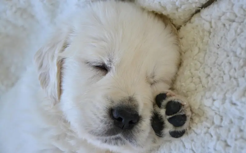 这样分手的，都是渣男！