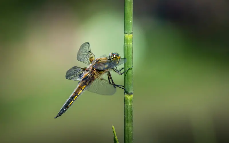 符合这三点的，一定是渣男。