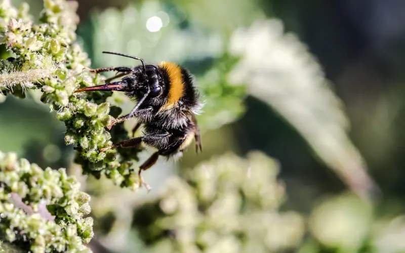 道歉和让闺蜜说好话都没用，还能挽回吗？