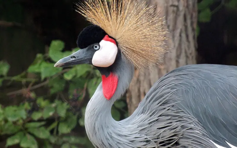 因为对你好所以在一起？下场你根本想不到