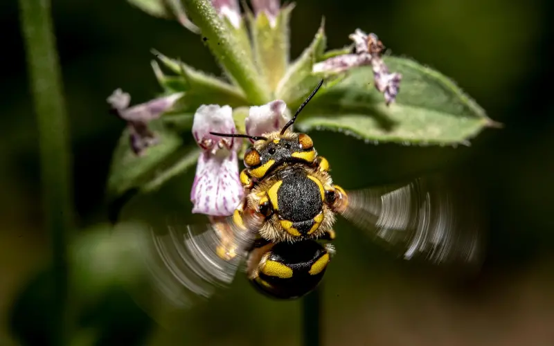 你害怕下雨吗？