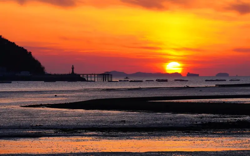 拉着我的网恋老公当扶弟魔？我就不！