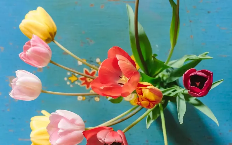 你是否经受着“被两个女人折磨”的痛苦，并左右为难！——婆媳关系化解咨询