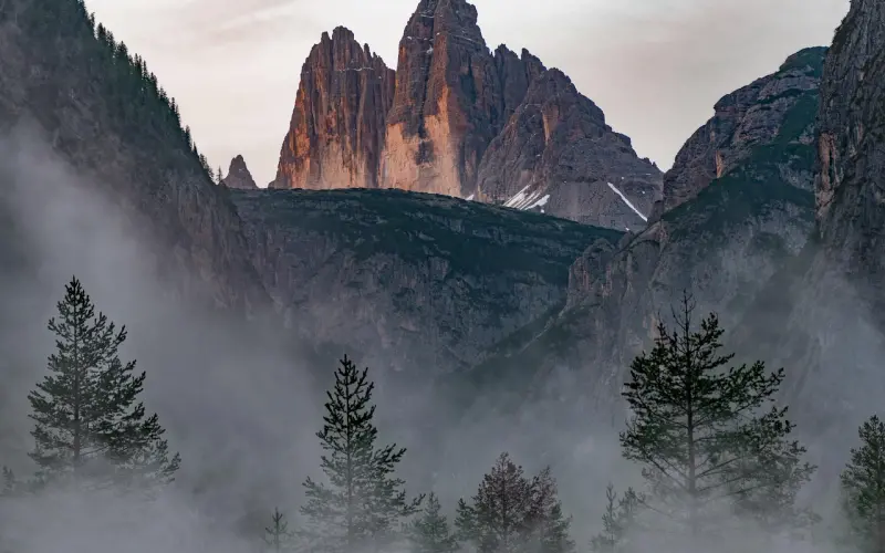 你是否愿意成为，赵雷口中那个女人？