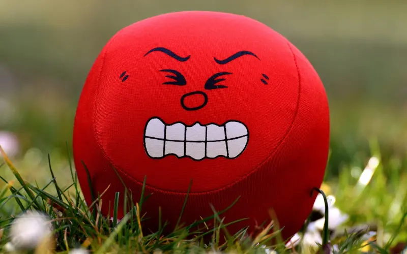 你愿意为这段感情做出牺牲吗？