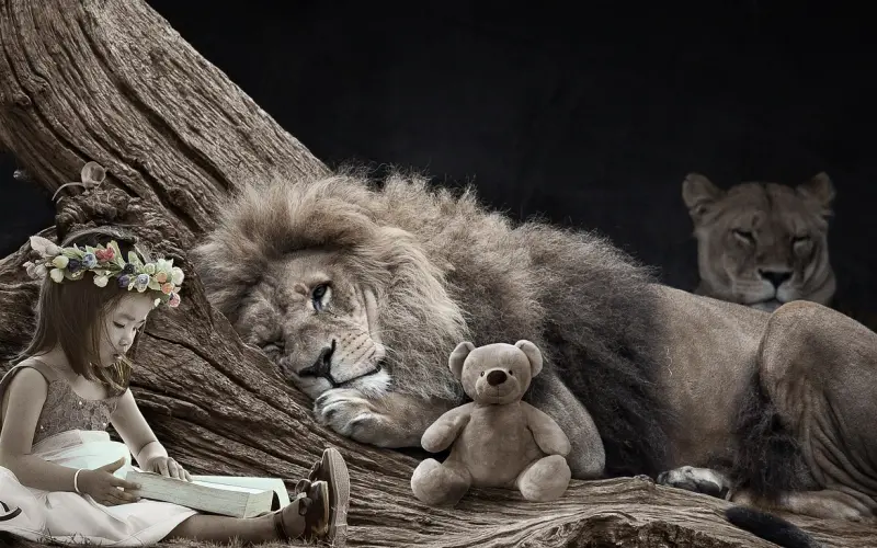 你愿意晚上睡觉时不搂着老公睡，而搂着个女人睡吗？——婚姻挽回调解专家崔永福网上咨询一对一跟进指导服务！