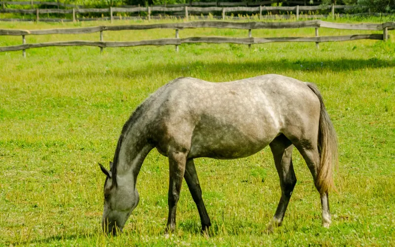 只要有这四个表现，说明这个女人已经爱上了你