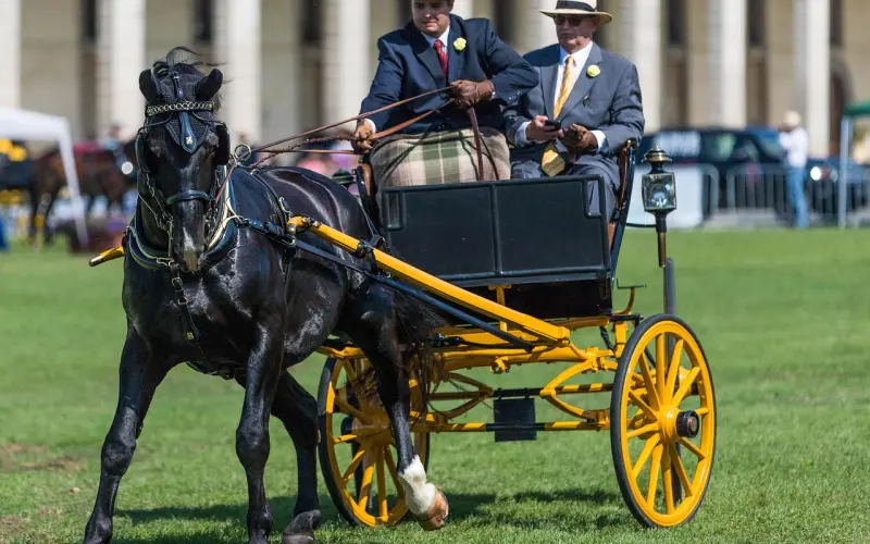 只要你会穿，160也能潮出新高度