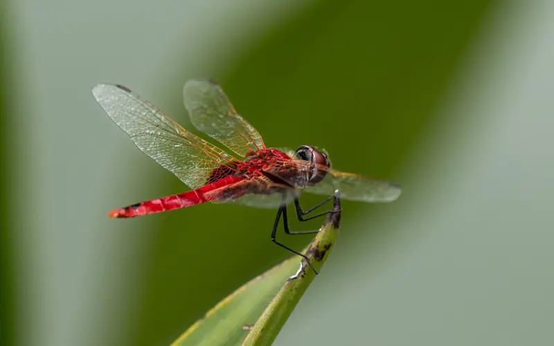 只要掌握这个心法，挽回并不难