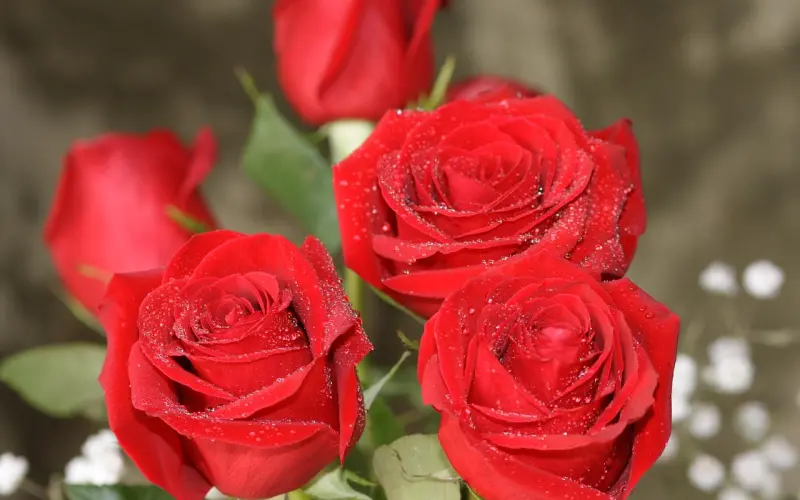 只要懂得这3个情感价值，你会发现挽回原来可以这么简单