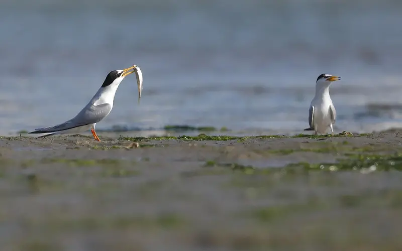 白痴的问题少问一点