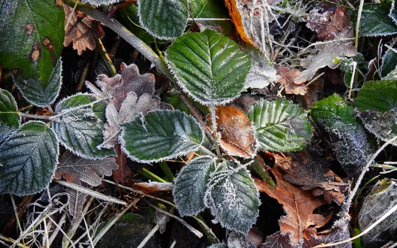 31岁，她遇到了想嫁的人