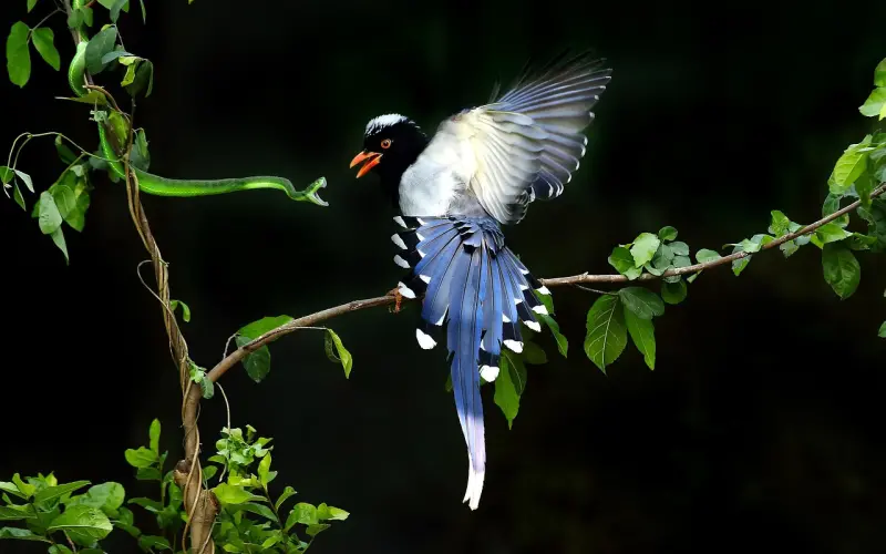 哪个瞬间让女生决定 你不可能和他结婚