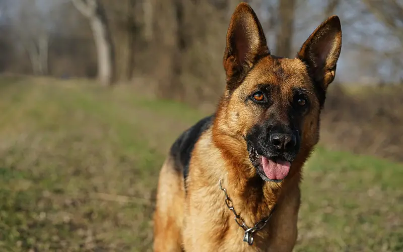女生们注意了，情感挽回中这五大禁忌千万不能碰