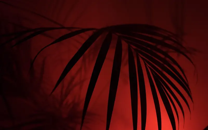 坏男人泡妞必知的心态，让女生主动送上门~