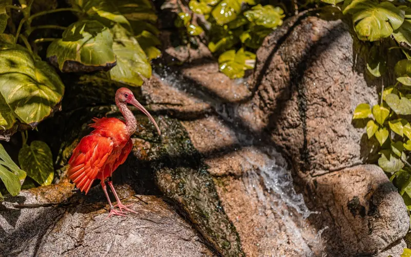 坏男人泡妞必知的心态，让女生主动送上门