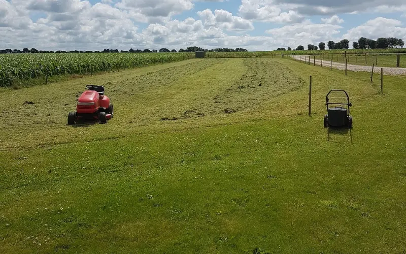 殴打小三？逼离婚？教你怎么控制出轨的男人
