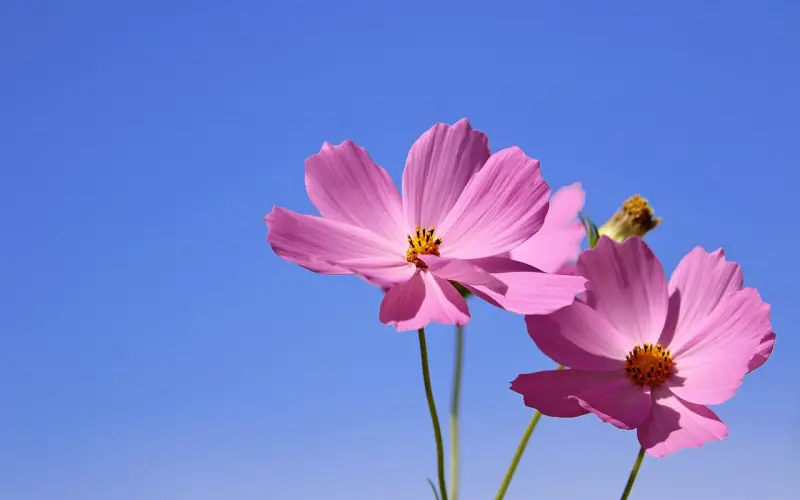 因为冷战，你亲手埋葬了一段感情（上篇）