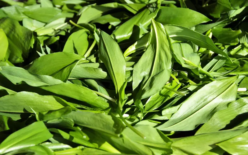 因为你弱，所以你活该