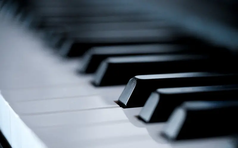 变美和赚钱才是女人的正经事