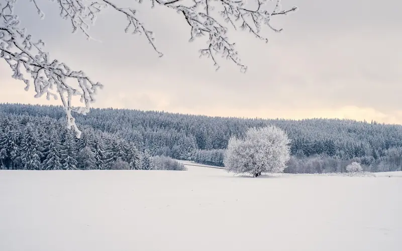 被诈骗、被骂屌丝、被钓凯子，这些学PUA的男人到底经历了什么？