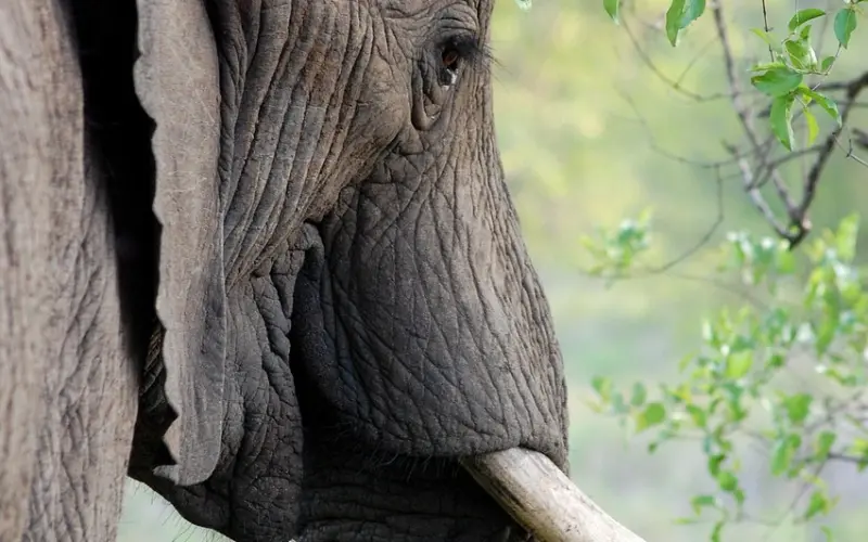 对你好不叫爱你，不带目的地对你好才叫