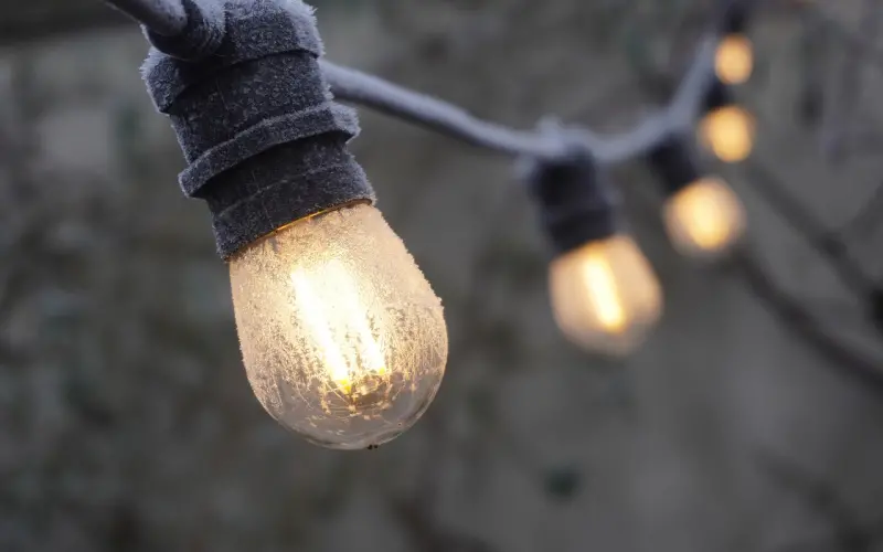 不是单身选择我，是我选择单身