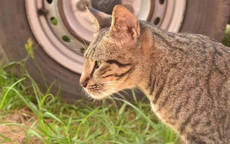 除了穷和丑，还有什么是你单身的理由？