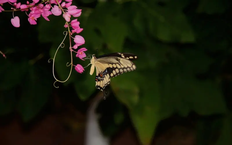闺蜜之间，关系再好，也不能做这件事！