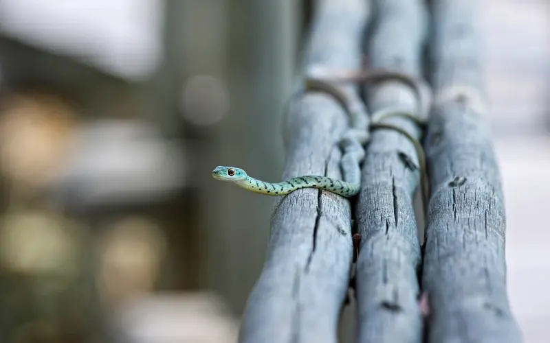 警惕：“不想孩子有自己小时候的遗憾”有毒！