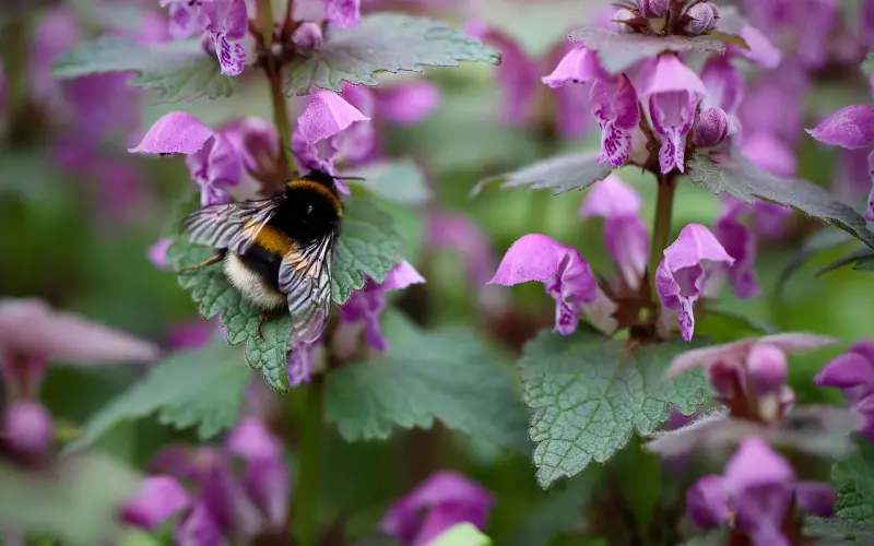 大S曝生二胎差点死在手术台：当女人实在比男人辛苦太多