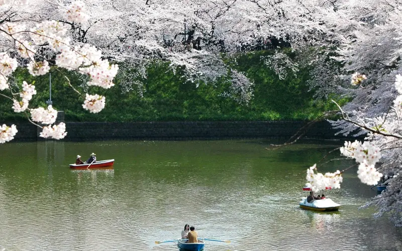 bl到暴利：卖奶茶，是不是日本黑帮的出路？