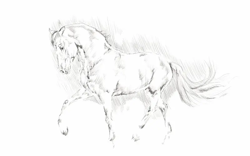 三次拉黑，这个19岁的姑娘真的让我怒了！