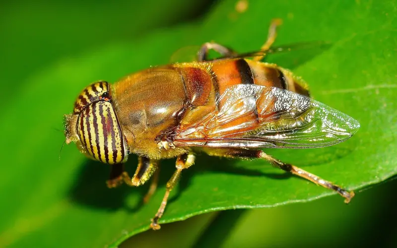 父母双双出轨，作为儿女的我们该怎么跟他们沟通？