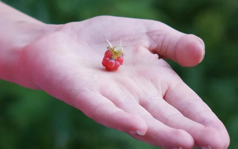 男朋友：“我把她当哥们，你别瞎想。”