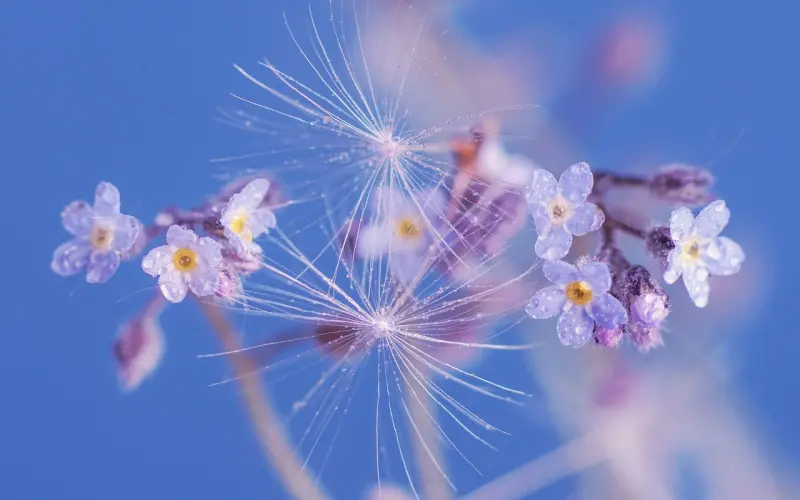 懂得主动说我睡醒了我洗完了我吃完了的男生，简直是生命之光