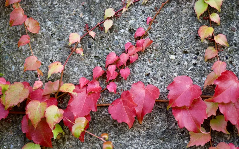 自认为“嘴笨”的男生，其实很有优势