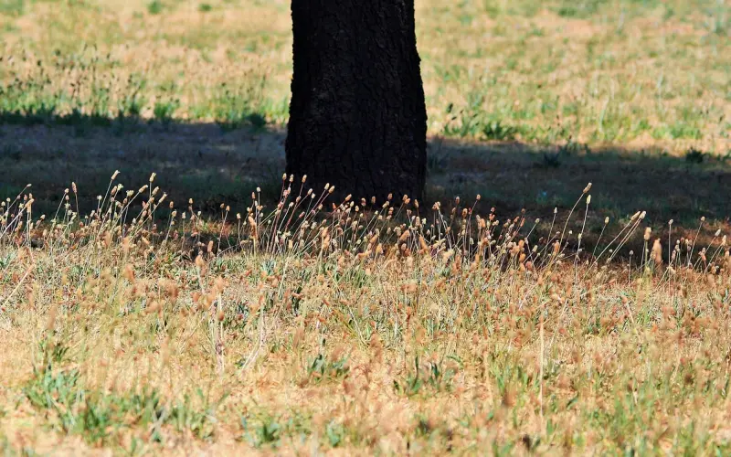 买房，正摧毁着无数婚姻