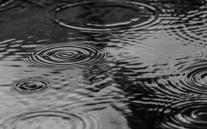 这样做，让她主动说“我可以做你女朋友吗？”