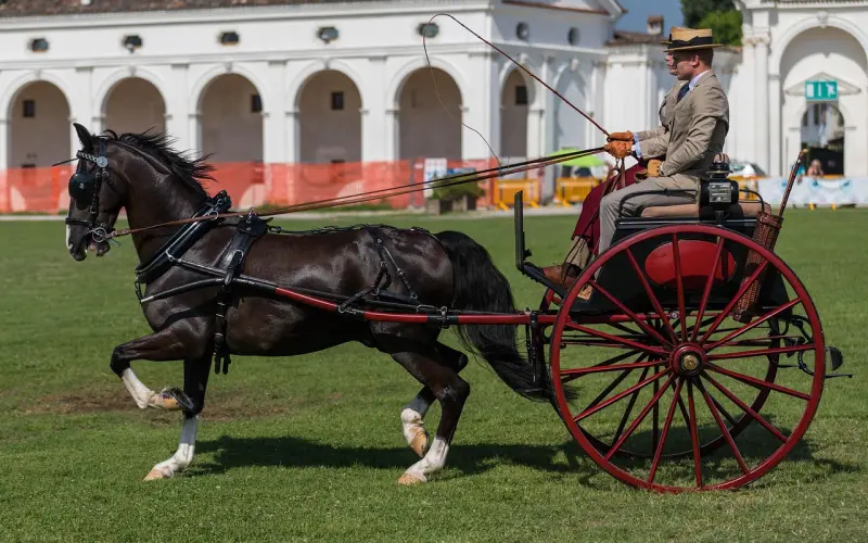掌握这6点，胖子也能立马脱单！