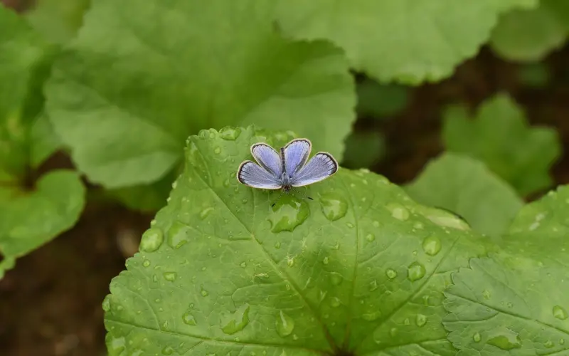 淡 定！ （写得超级好）