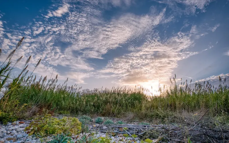 男人主动不理你你示好能挽回吗