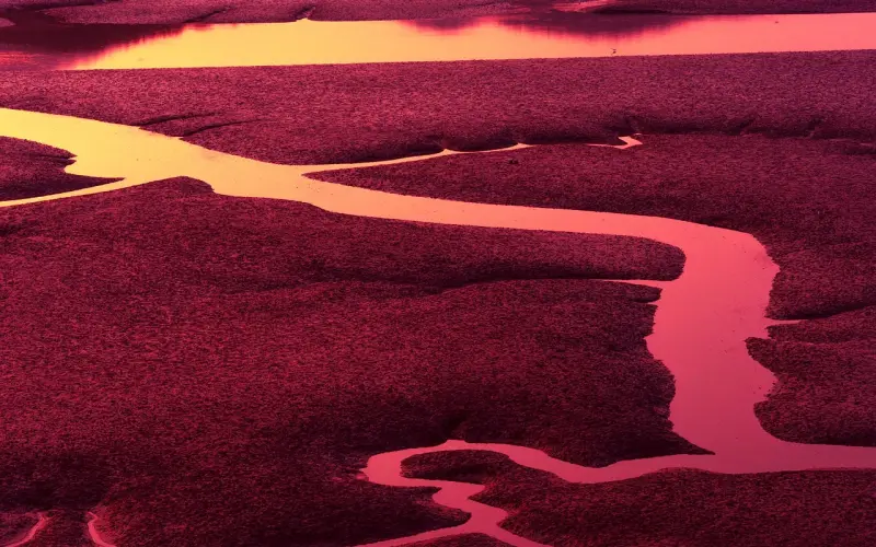 分手后死死纠缠能挽回吗