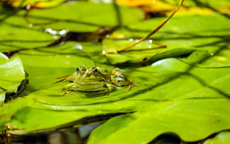 老公出轨了还能挽回吗？