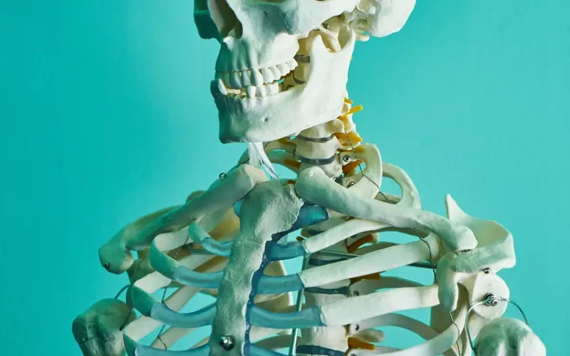 错过了正缘还可以挽回吗